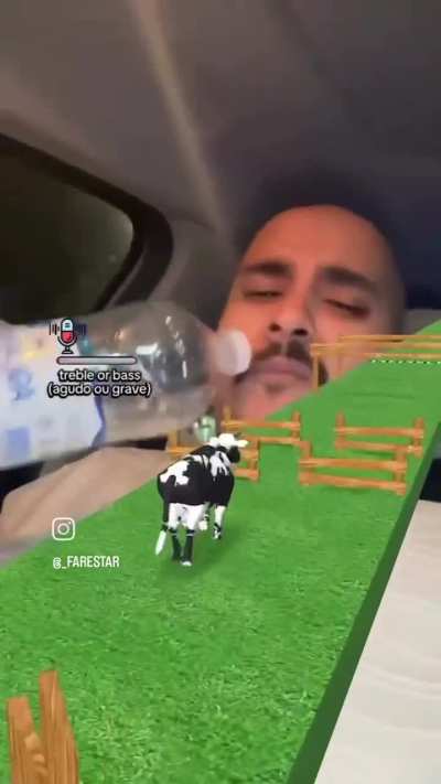 Cow 