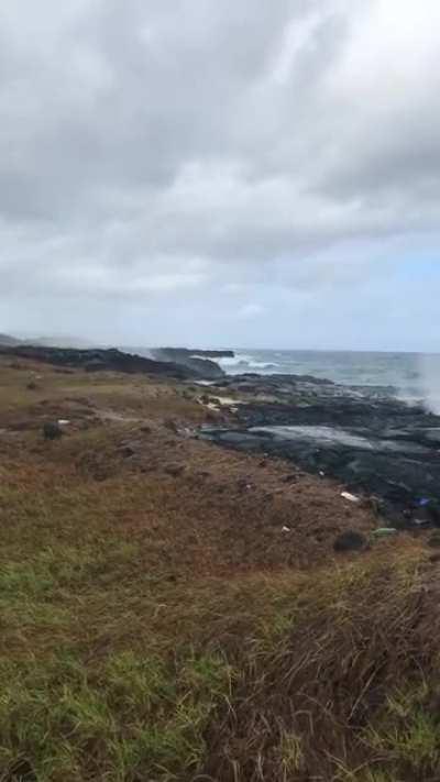 Went for a peaceful beach walk yesterday