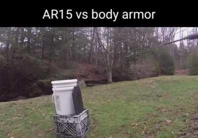 Wish body armor vs AR15