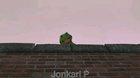 Why did kermit fall from the roof?