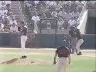 Bird meets baseball