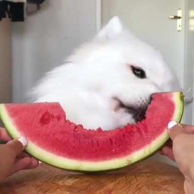 cloud eating watermelon 🍉