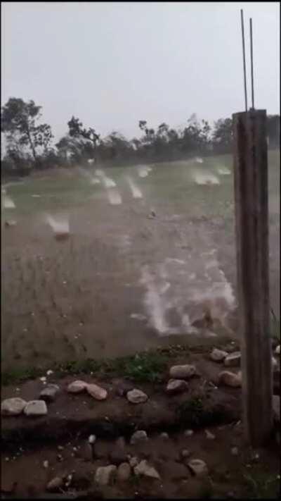 This yard turned into a war zone during a massive hail storm