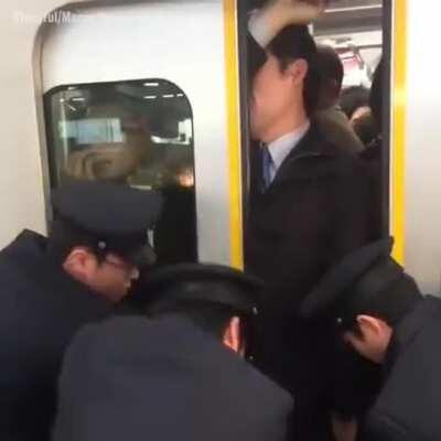 I heard about the people in Japan that gets paid to shove people into trains but I've never seen them in action.