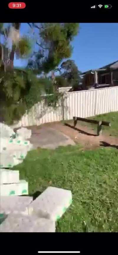 The mother lode of toilet paper hoarding discovered