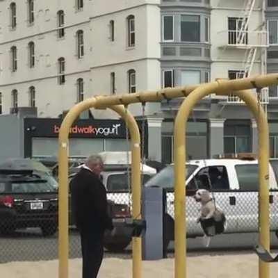 Old man pushing his dog on a swing