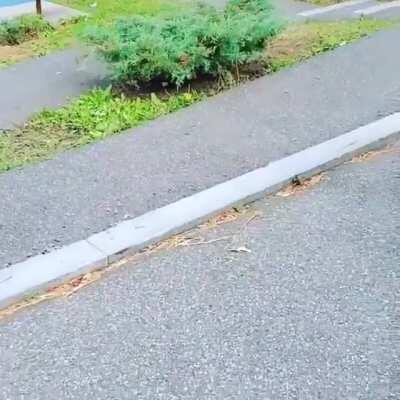 WCGW trying to nail a half court shot