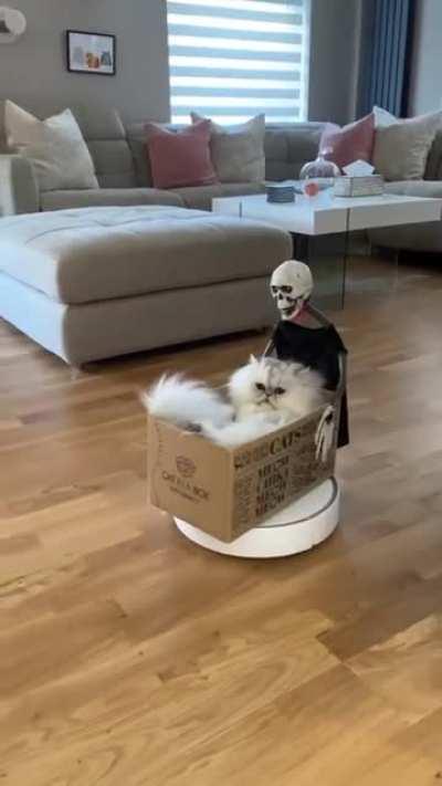 Halloween delivery