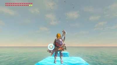 [BoTW] Today I learned that when you see a group of Seagulls circling a specific spot over the ocean you'll find there a school of fish.