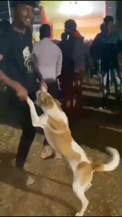 Unexpected dance partner !