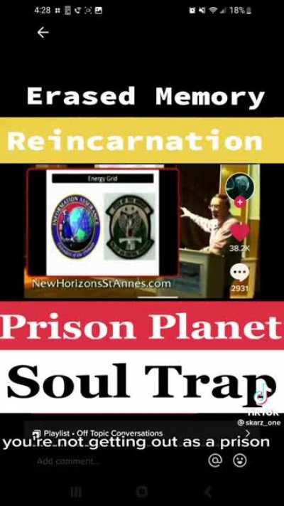 Simon Parkes explains Reincarnation prison energy grid .