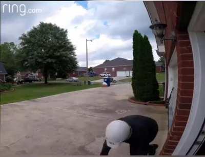 Package thief. 