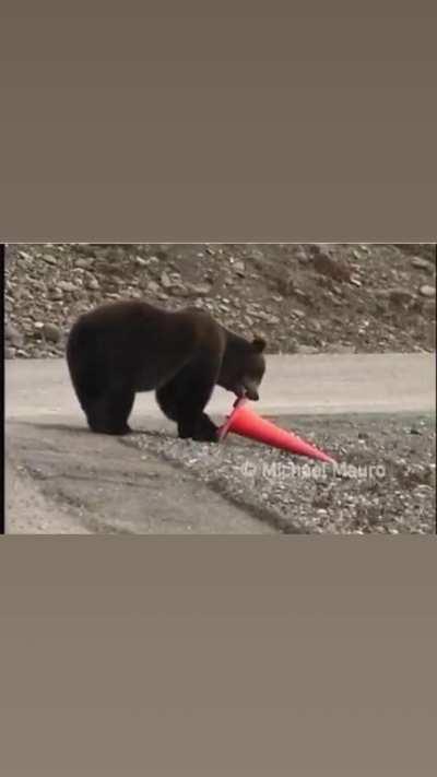 A normal bear in a russia!