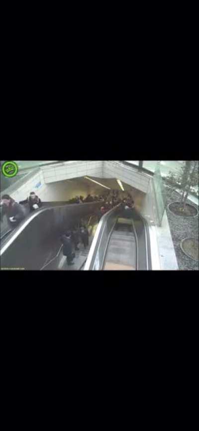 The escalator was hungry