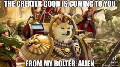 Dogehammer 40k?