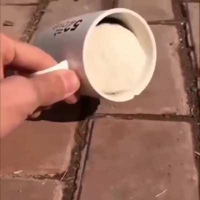 This coffee won't spill