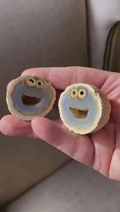 Geologist Mike Bowers found a volcanic Rock in Brazil that looks like cookie monster