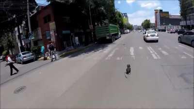 Cyclist chases a dog that was running in the middle of an avenue to protect him from the vehicles. She chased the dog for over 600 meters (0.38 miles) and didn't rest until he was safe. She and the people who helped out are heroes.