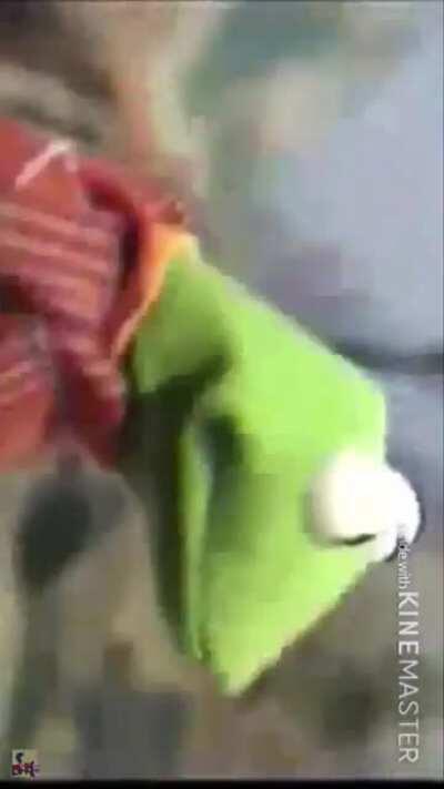 Poor Kermit