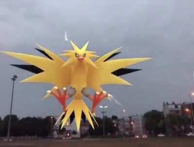 Caught Zapdos during a thunderstorm ⚡️