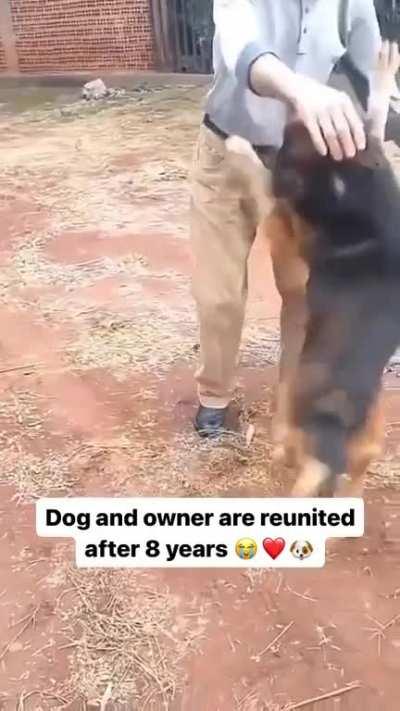 Dog & owner reunited after 8 years!