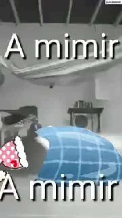 a mimir añañin😎👌