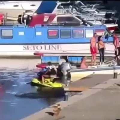 I no longer wanna ride a jet ski again 