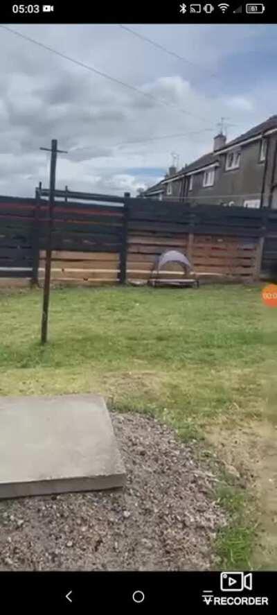 HMFT after I vault this ramp