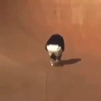 fua, guapΓsimo el nuevo Tony Hawk eh?