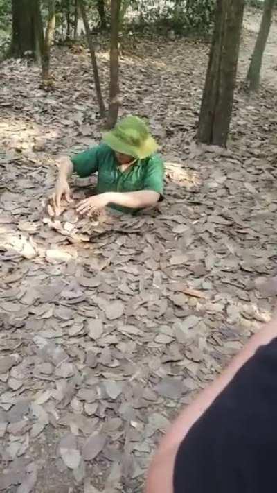 Unbelievable camouflage - Vietnam