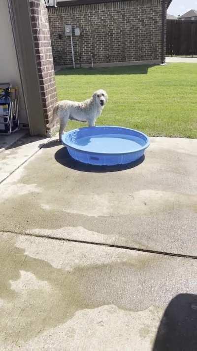 Natalie washing her car 