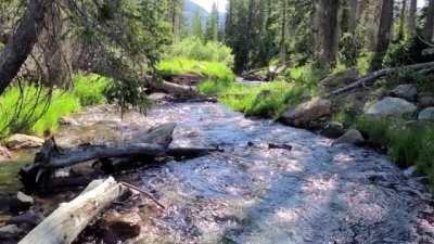 Summer in the High Uintas