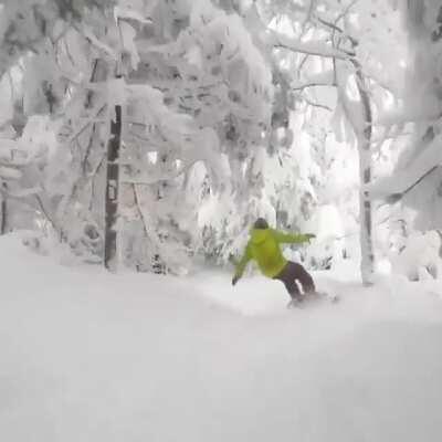 Snowboarding through a forest covered in fresh snow at Sugar Mountain