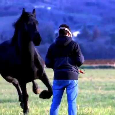 WCGW playing virtual reality games in a field where horses run