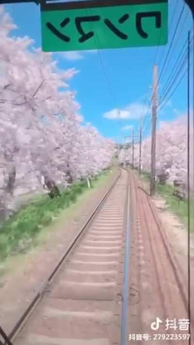 Train ride in Japan looks like a scene from Anime