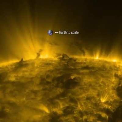 Towering tornadoes of plasma the size of planets dance over the Sun's surface in this time-lapse from the Solar Dynamics Observatory spacecraft. Credit: NASA GSFC/SDO