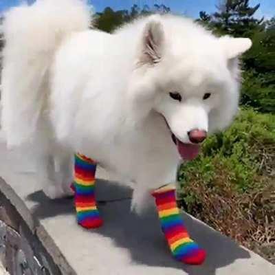 A cloud with rainbow socks!! 🌈🌈🌈