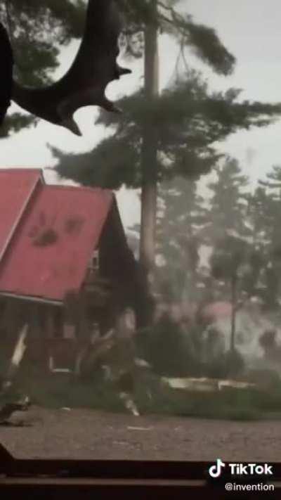 Catching lightning striking a tree