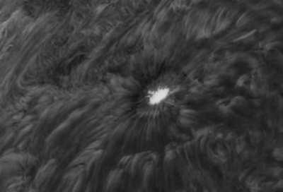 Sun new active region - captured with an h-alpha filter