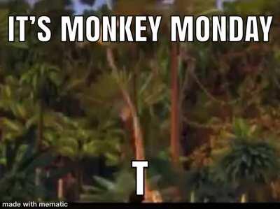 ml leg monkey monkey monster monekt