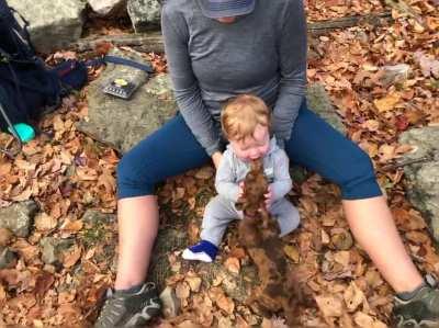 Baby Doxie gives baby human all the kisses 😍