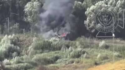 A Russian FPV drone hits an abandoned Ukrainian Stryker in the Kursk region - September 2024