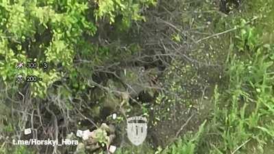 Russian BMP-2 hits a mine, dismounts are subsequently hit with drone dropped grenades near Ivanivka, Kharkiv region