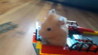 I Built A Little Lego Train For My Hamster James