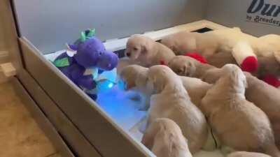 Dragon reading a bedtime story to puppies