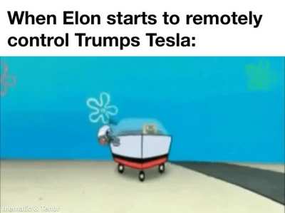 BikiniBottomTwitter