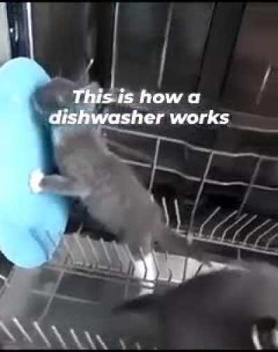 wunk washer