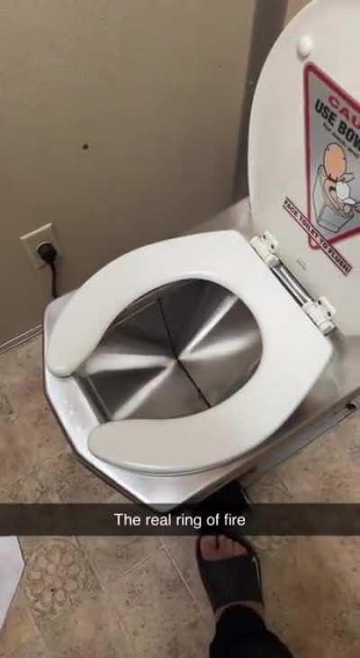 toilet that burns the waste instead of flushing it