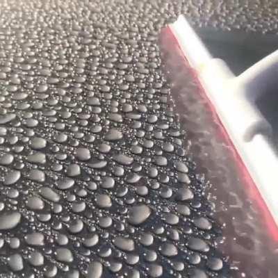 It's Wednesday! Cleaning the top of a car!