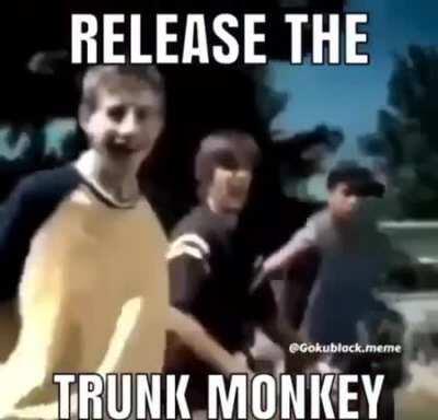 Trunk monkey 🐒🐒